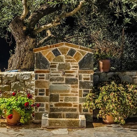 Eleonora'S Villa Skopelos Town Bagian luar foto