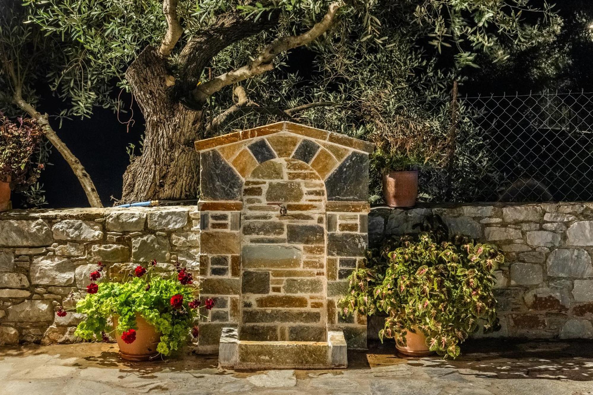 Eleonora'S Villa Skopelos Town Bagian luar foto